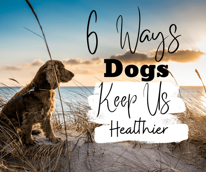 6 Ways Dogs Keep Us Healthier