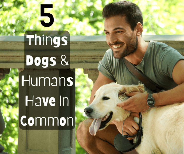 5 Things Dogs And Humans Have In Common