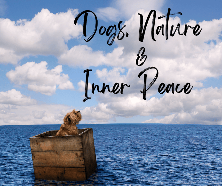 Dogs, Nature, & Inner Peace